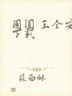 团圆 王全安 下载