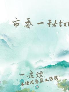 市委一秘txt