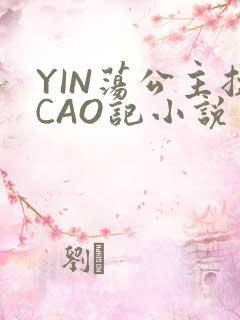 YIN荡公主挨CAO记小说