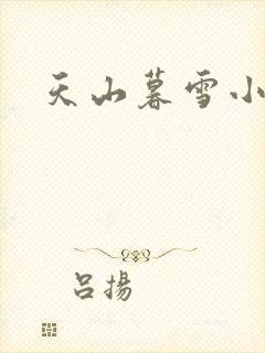 天山暮雪小说