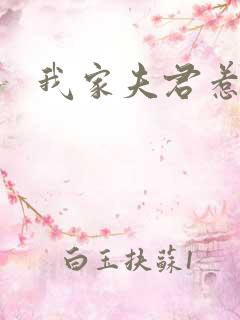 我家夫君惹不起