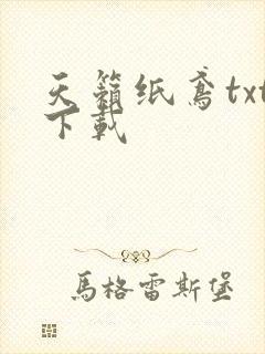 天籁纸鸢txt下载