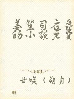 姜笙司夜爵顾念的小说免费阅读