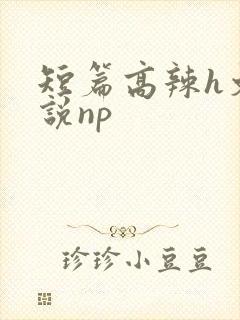 短篇高辣h文小说np
