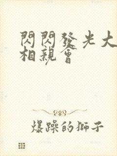 闪闪发光大团圆相亲会