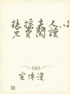 扶摇夫人.小说免费阅读