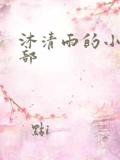 沐清雨的小说全部