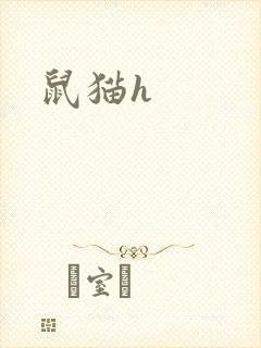 鼠猫h