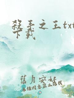 杀手之王txt下载