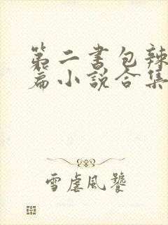 第二书包辣网短篇小说合集