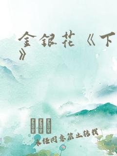 金银花《下厨房》