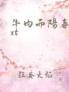 牛肉面阳春面txt