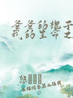 爸爸的棍子顶着我的生命之苏苗