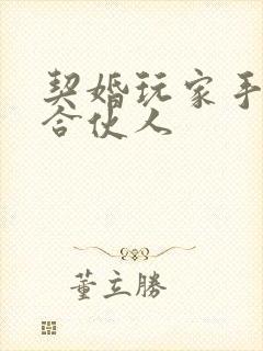 契婚玩家手册之合伙人