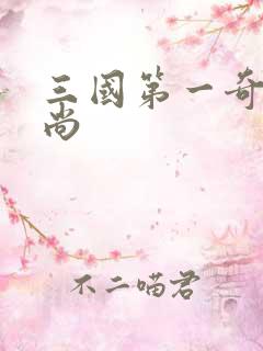 三国第一奇兵袁尚