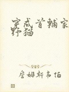 穿成首辅家的小野猫