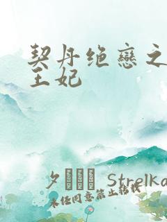 契丹绝恋之代嫁王妃