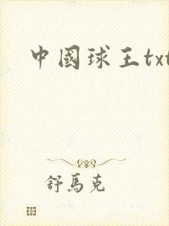 中国球王txt