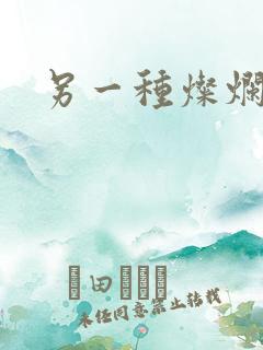 另一种灿烂生活