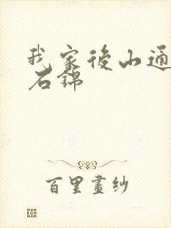 我家后山通仙界石锦