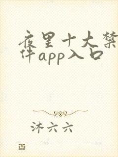 夜里十大禁用软件app入口