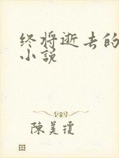 终将逝去的青春小说