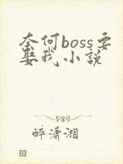 奈何boss要娶我小说