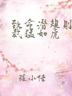 致命潜规则 总裁猛如虎