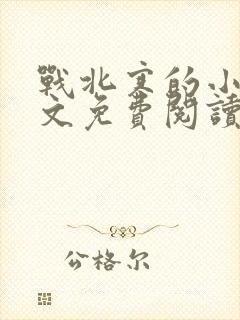 战北寒的小说全文免费阅读无弹窗