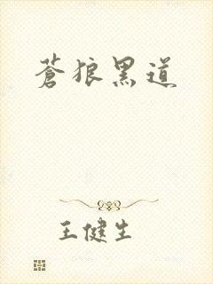 苍狼黑道