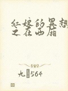 红娘的异想世界之在西厢