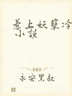 惹上妖孽冷殿下 小说