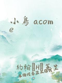小鸟 acome
