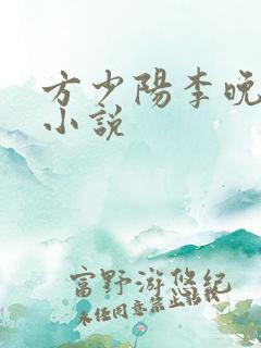 方少阳李晚晴的小说