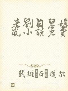 老刘日儿媳妇张岚小说免费阅读