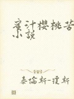 蜜汁樱桃苦咖啡小说