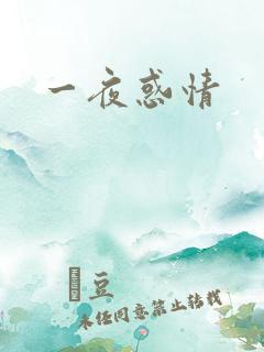 一夜惑情