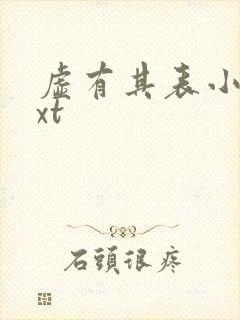 虚有其表小说txt