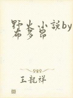 野火小说by夏布多昂