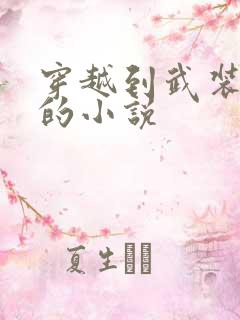 穿越到武装少女的小说