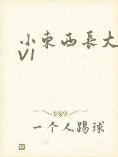 小东西长大了1V1