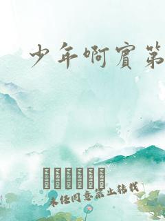 少年啊宾第二部