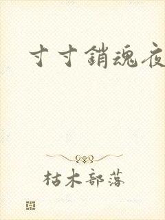 寸寸销魂夜春光