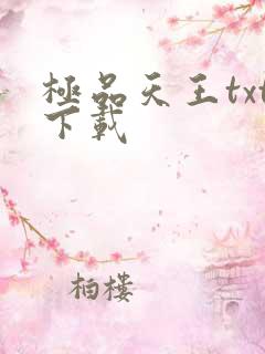 极品天王txt下载