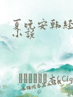 夏晚安韩经年的小说
