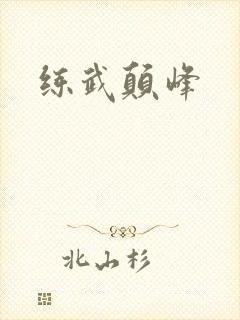 练武颠峰
