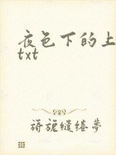 夜色下的上海滩txt