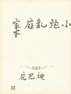 家庭乱炮小说全本