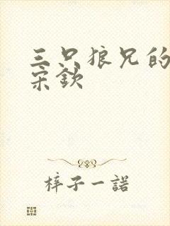 三只狼兄的宠妻宋钦