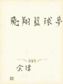 飞翔篮球梦下载